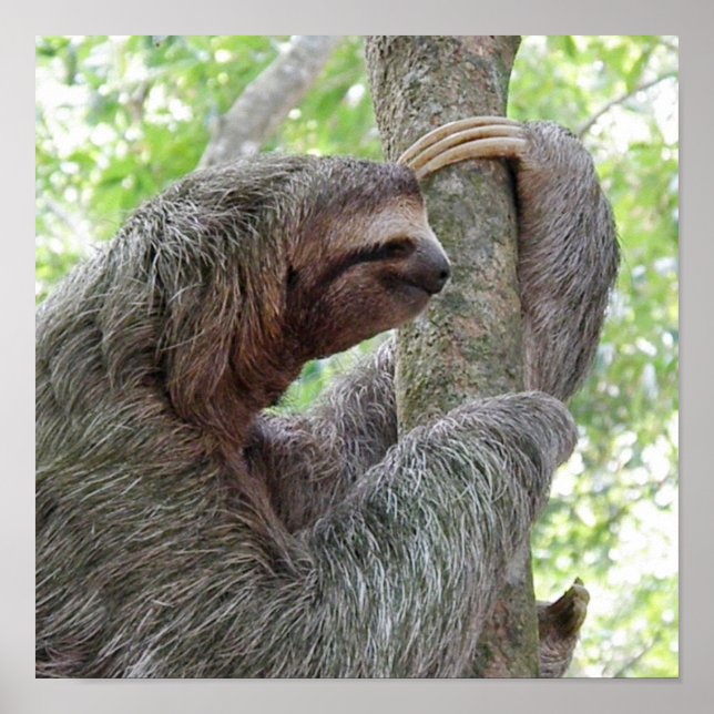 Customize Product Poster (Front)