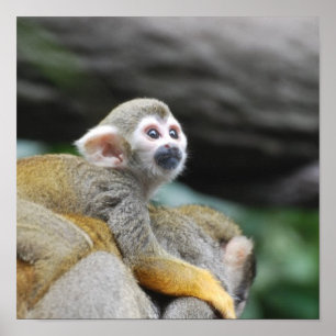 Customize Product Poster