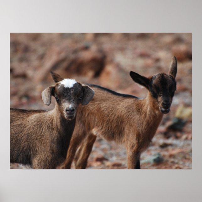 Customize Product Poster (Front)