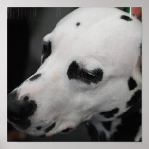 Customize Product Poster