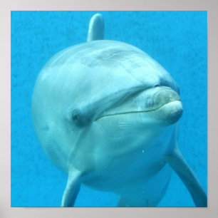 Customize Product Poster