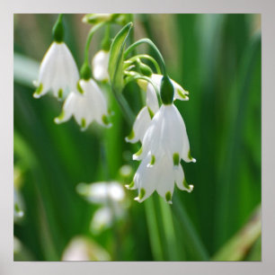 Customize Product Poster