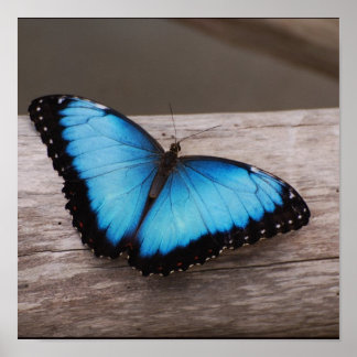 Customize Product Poster