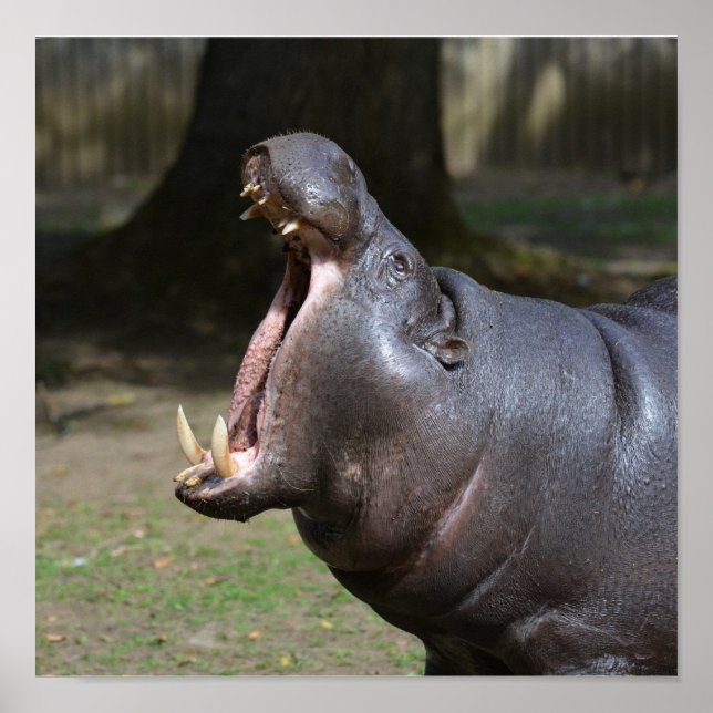 Customize Product Poster (Front)