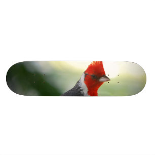 Customize Product Skateboard