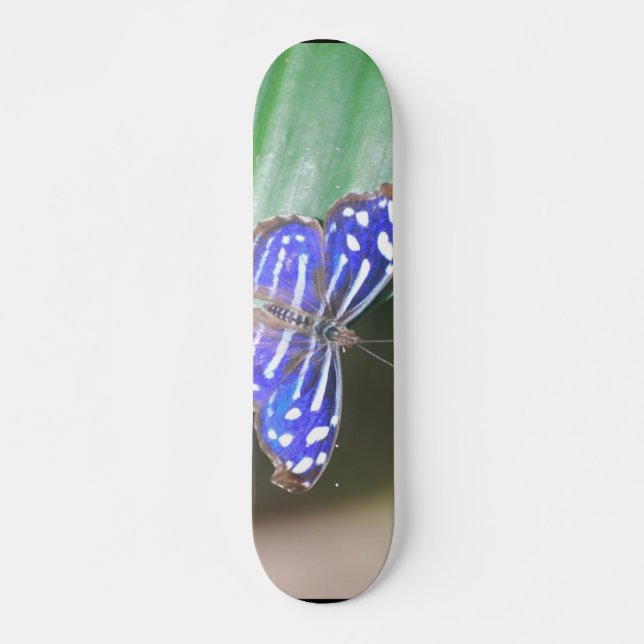Customize Product Skateboard (Front)