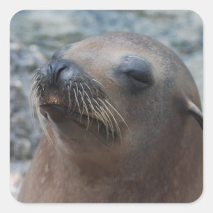 Customize Product Square Sticker