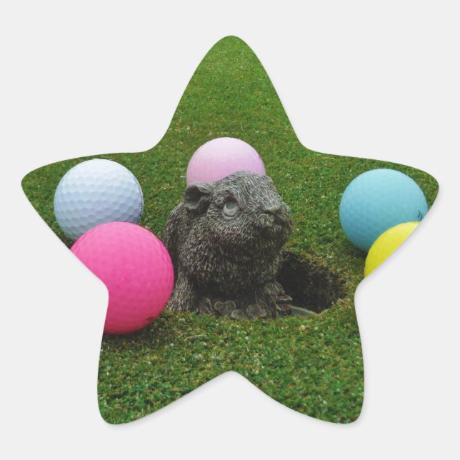 Customize Product Star Sticker (Front)