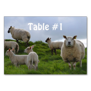 Customize Product Table Number