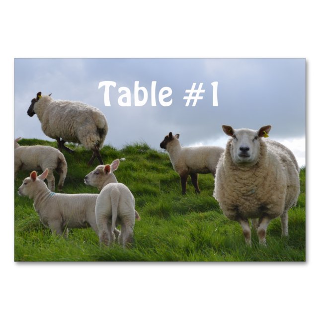 Customize Product Table Number (Front)