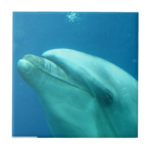 Customize Product Tile