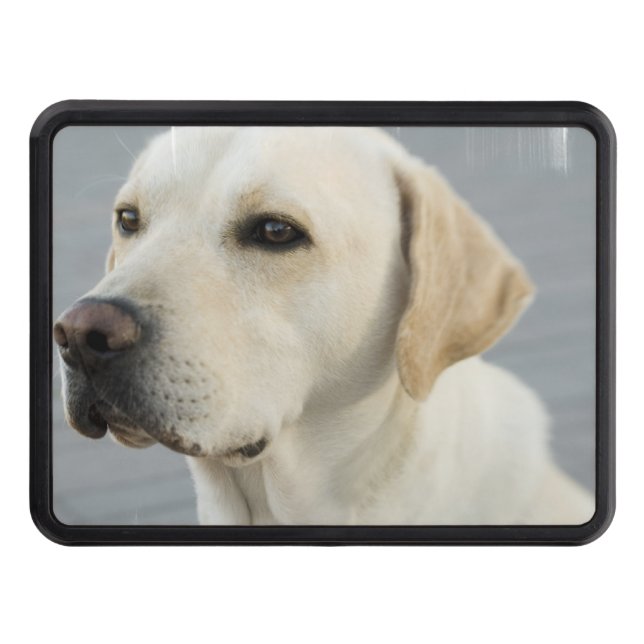 Customize Product Trailer Hitch Cover (Front)