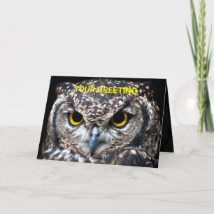 Customize This Owl Card With Your Own Message