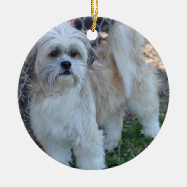 customize w/special photo Christmas Tree Ornaments (Front)