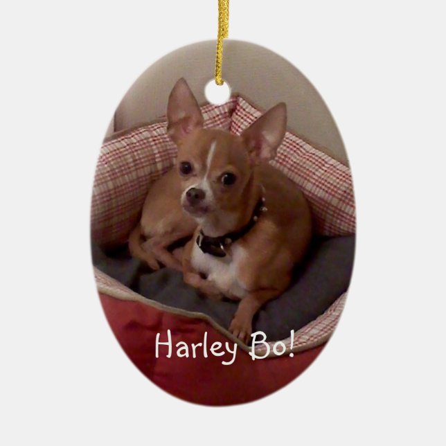 customize w/special photo Christmas Tree Ornaments (Front)