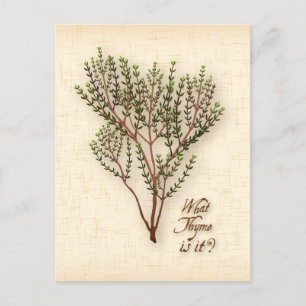 Customize What Thyme Is It? Postcard