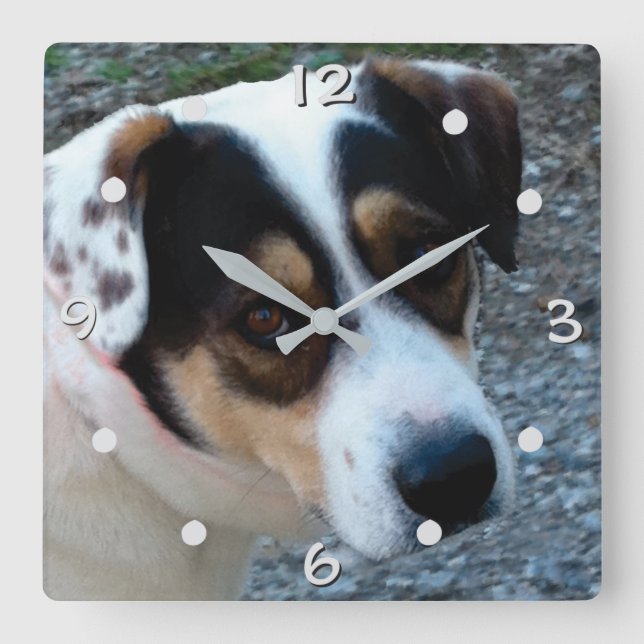 customize with your own pet wall clock (Front)