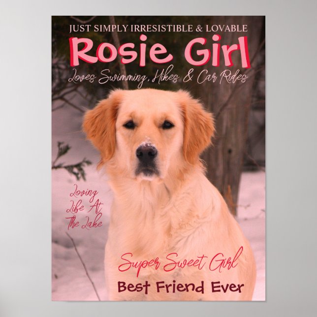 Customize With Your Pet Photo Poster (Front)