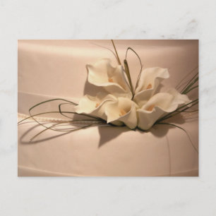 Customize your own calla lily postcard