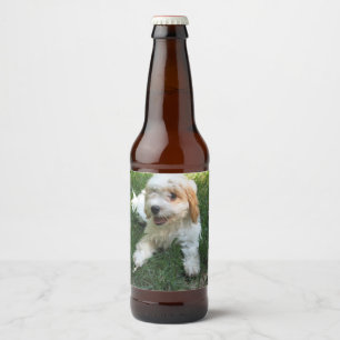 Customized Cavachon Photo, Dog Beer Bottle Label