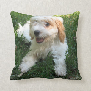 Customized Cavachon Photo Pillow, Dog Throw Pillow