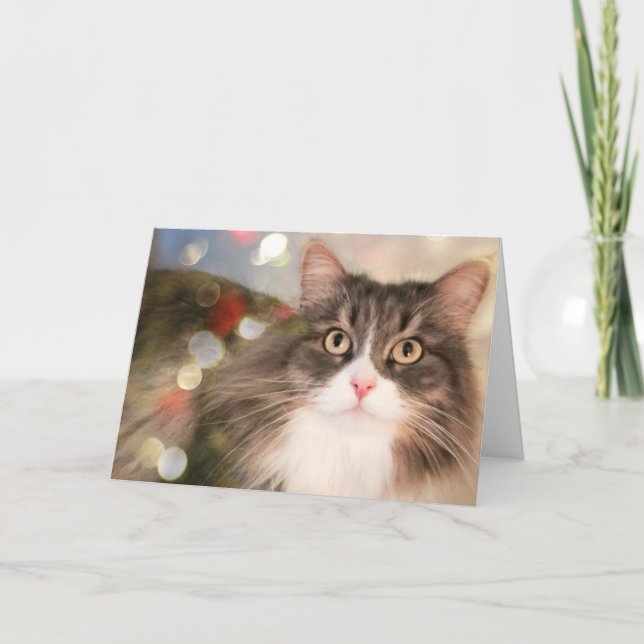 Customized Christmas Cat Holiday Card (Front)