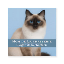 Customized elegant cat breeder business card
