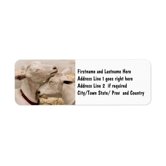Customized Goat Farming Couple Return Address Label