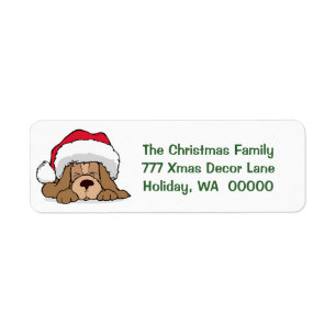 Customized Holiday Card Envelopes Return Address