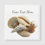 Customized Mixed Seashell Photo Magnet<br><div class="desc">Make it what you want! A shell magnet for a beach lover? A beach themed wedding keepsake or save the date reminder? Whatever you decide let me know,  I'd love to hear!</div>