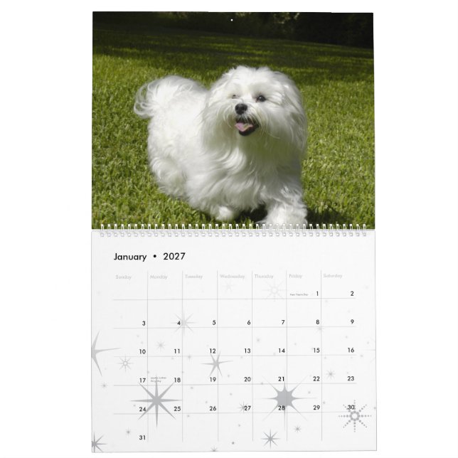 Customized Pet Calendar (Jan 2027)