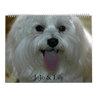 Customized Pet Calendar