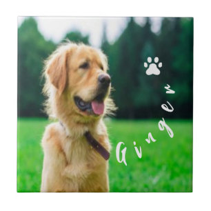 Customized Pet Photo Dog Lover with Photo Tile