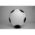Customized Regulation Size Soccer Ball