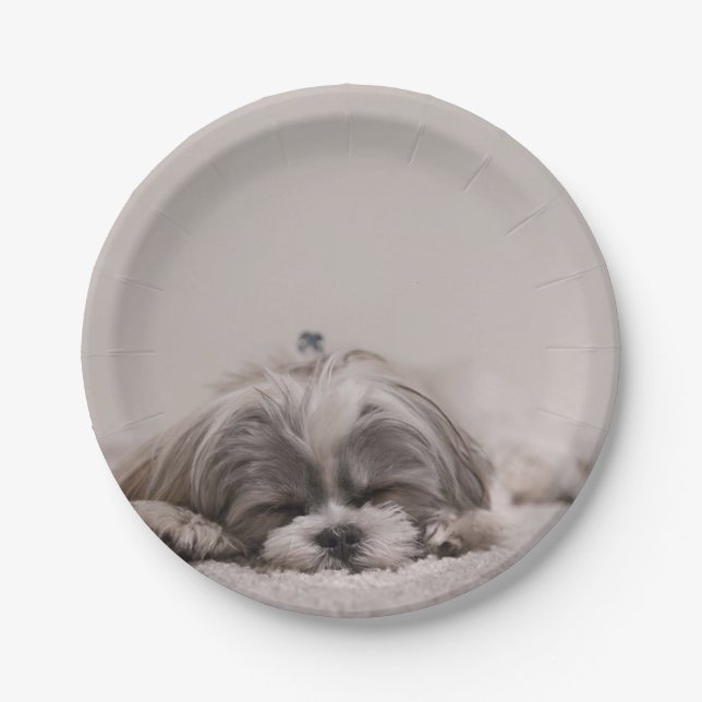 Customized Shih tzu Plate, Sleeping Dog Paper Plate (Front)