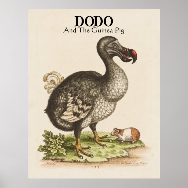 Customized Title and Subtitle Dodo and Guinea Pig  Poster (Front)