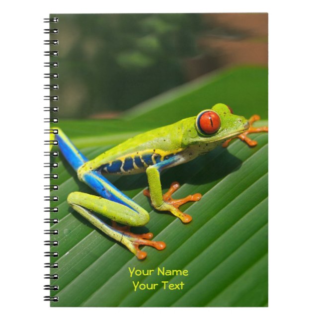 Customized Tropical rainforest green red-eyed Frog Notebook (Front)