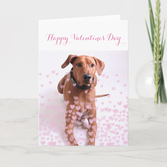 Customized Valentine's Day Card - Dog (Front)