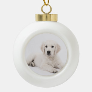 customized with photo pet memorial ceramic ball christmas ornament