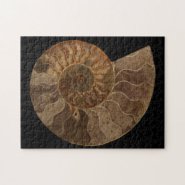 Cut Ammonite Fossil Jigsaw Puzzle (Horizontal)
