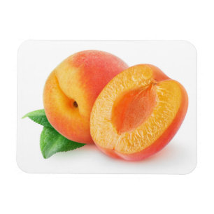 Cut apricots magnet
