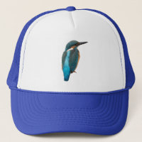 Cut out of a Kingfisher