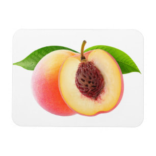 Cut peaches magnet