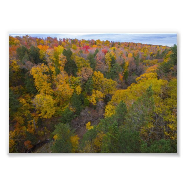 Cut River valley, Fall, Michigan Photo Print (Front)