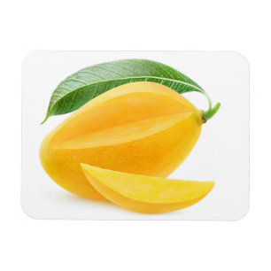 Cut yellow mango magnet