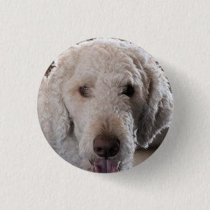 Cute     1 inch round button