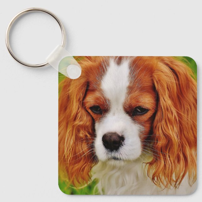 Cute 2 Photo Double Sided Pet Photo Keychain (Front)