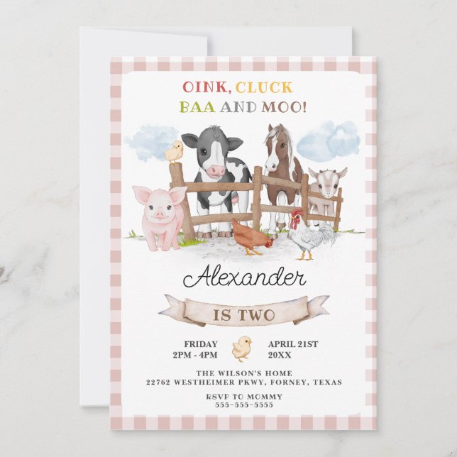 Cute 2nd Birthday Farm Animals Barnyard Kids Invitation (Front)