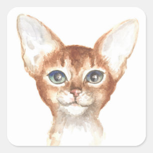 Cute Abyssinian Cat Kitty Kitten Mom Lover Square Sticker