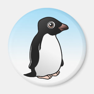 Cute Adelie Penguin Magnet